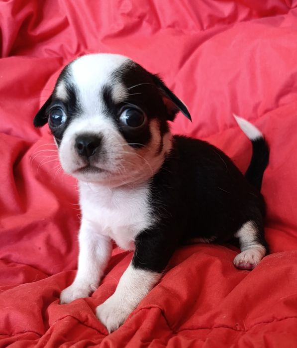 Гарненький хлопчик чекає на родину