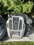 По деталях Двигун briggs stratton 550,625,675 . РЕМОНТ Двигунів
