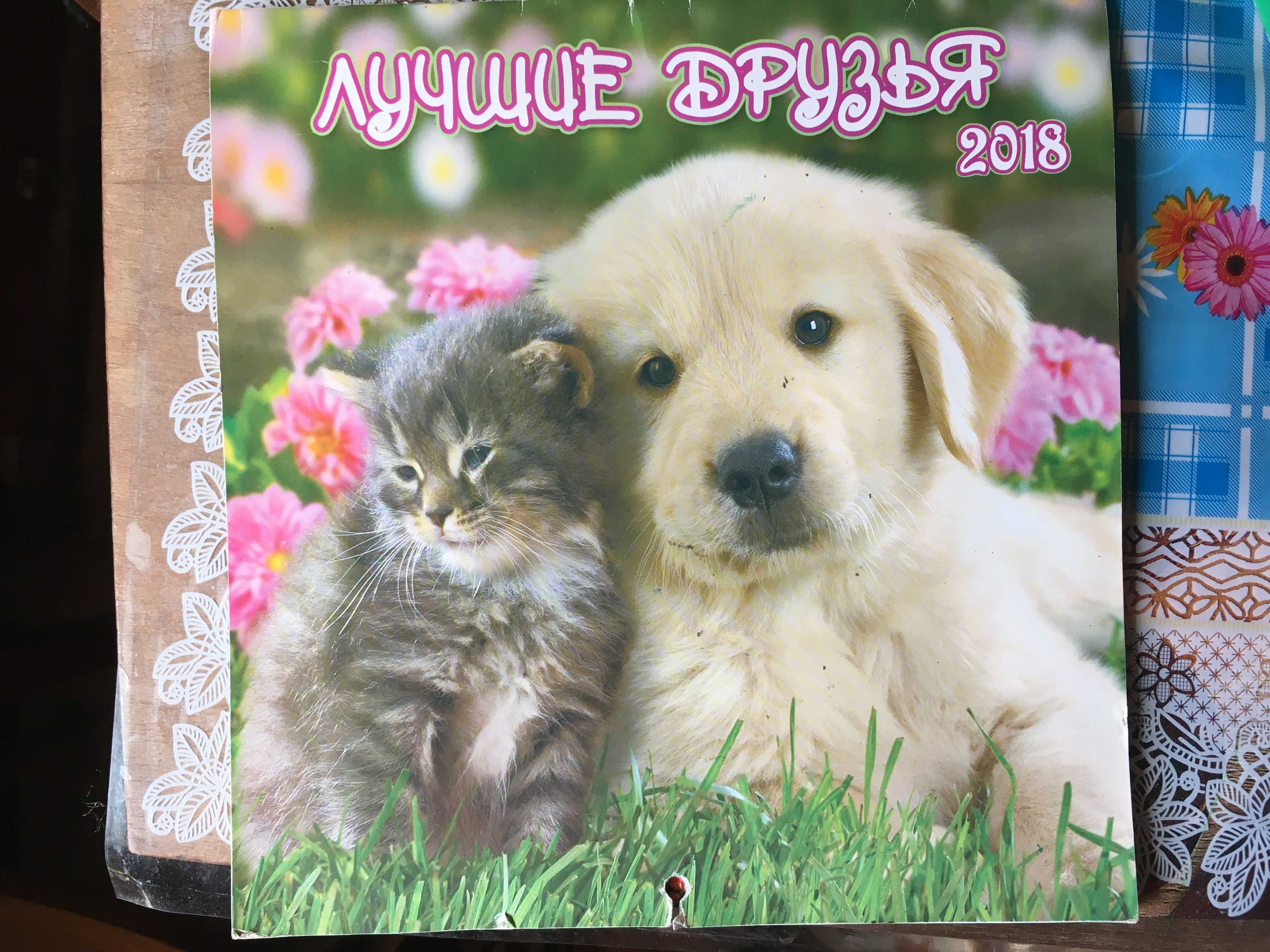 б.у. настенный календарь 2018 Лучшие друзья (фото собак и кошек)