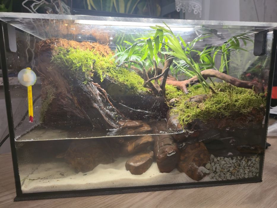 Terrarium dla kraba