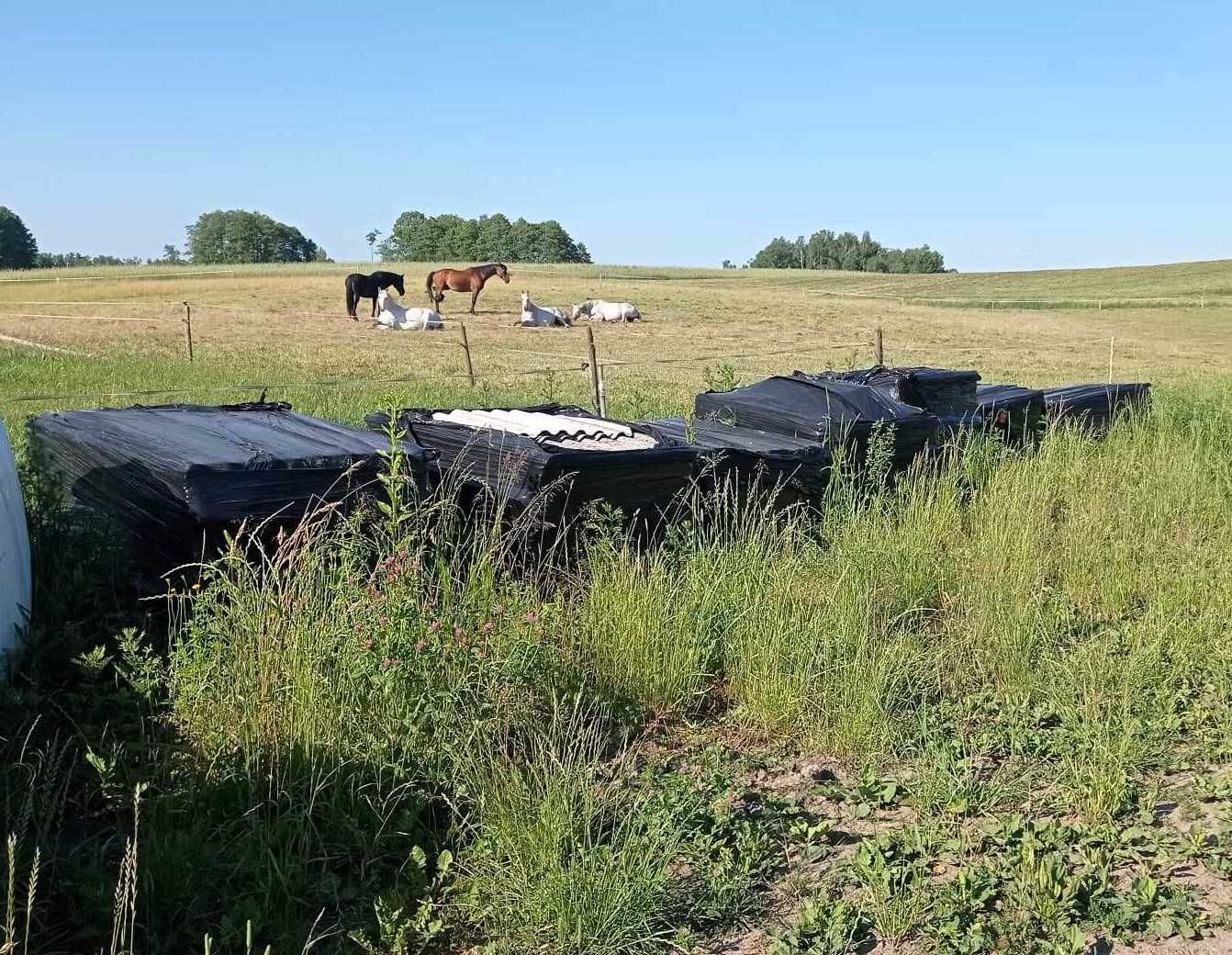 Usuwanie azbestu, demontaż, odbiór, transport i utylizacja eternitu