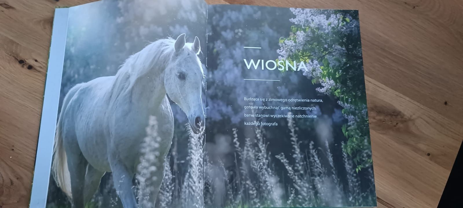 Atlas 'Konie'M. Mąkosa