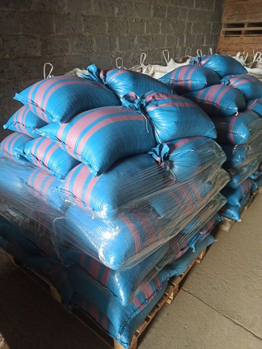 Sprzedam pszenicę Patras - rok po centrali