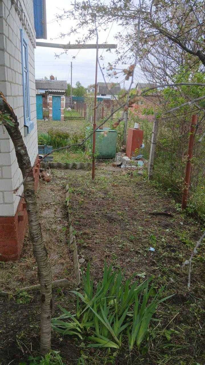 Дача в Березанці, СТ Сновянка