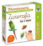 Montessori. Zwierzęta tu i tam. Karty sensoryczne z książeczką