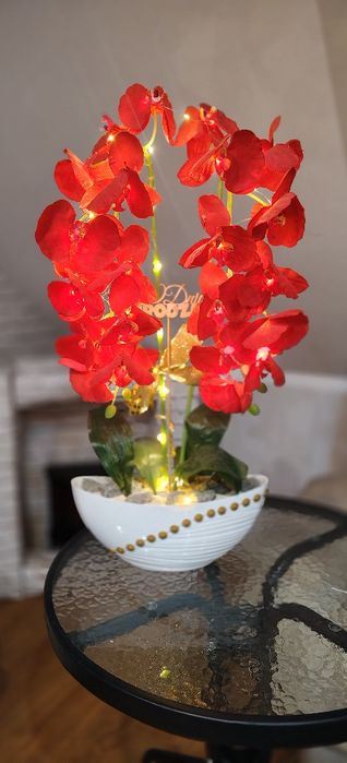 Piękny ogromny storczyk na prezent święta czerwony świecący LED