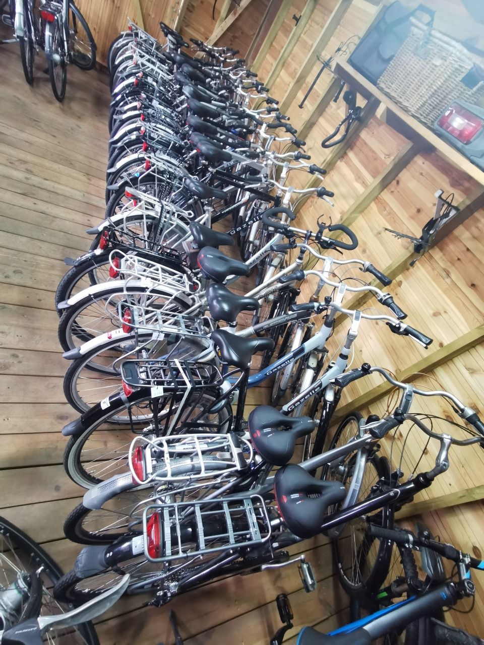 Gazelle Giant Batavus Koga Sparta