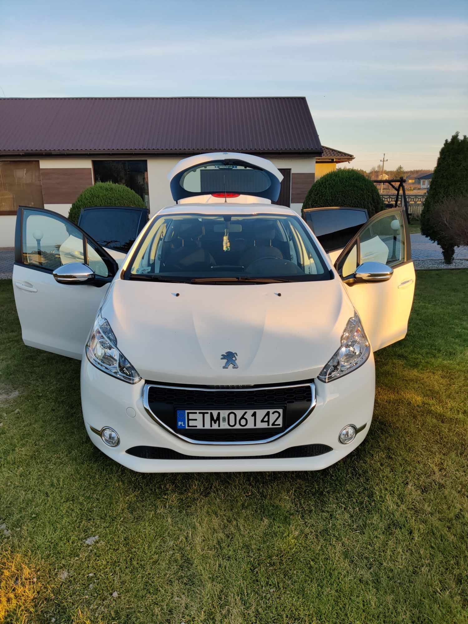 Piękny Peugeot 208