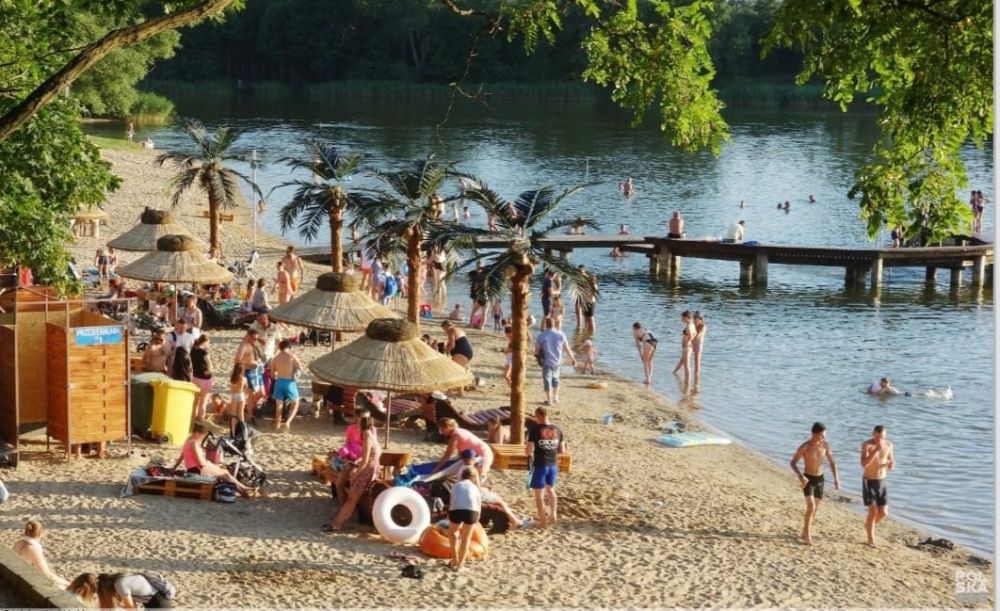 PARASOL z trzciny na upał, na plażę, basen  strzecha trzcinowy plażowy