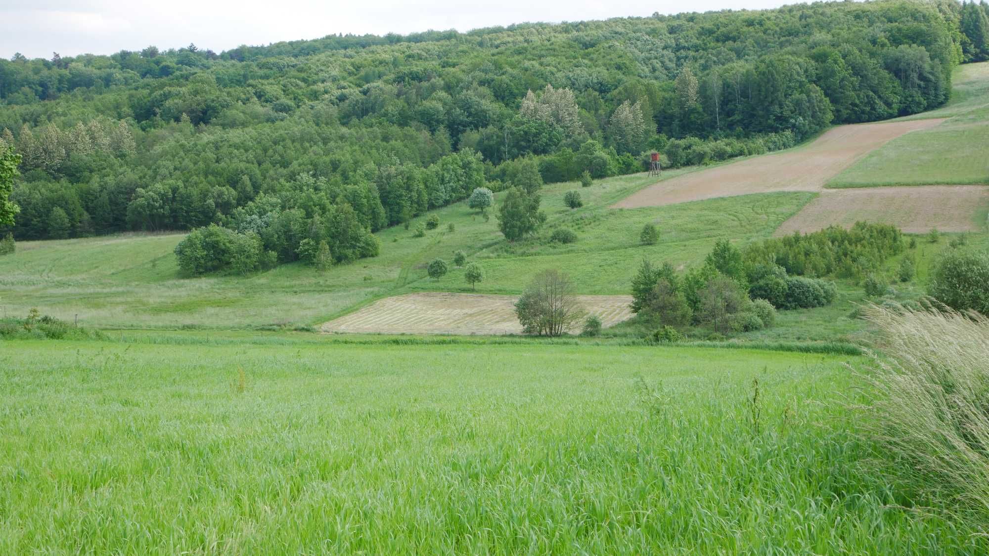 Działka rolna 10 arów na sprzedaż, KRUS, lokata, inwestycja.