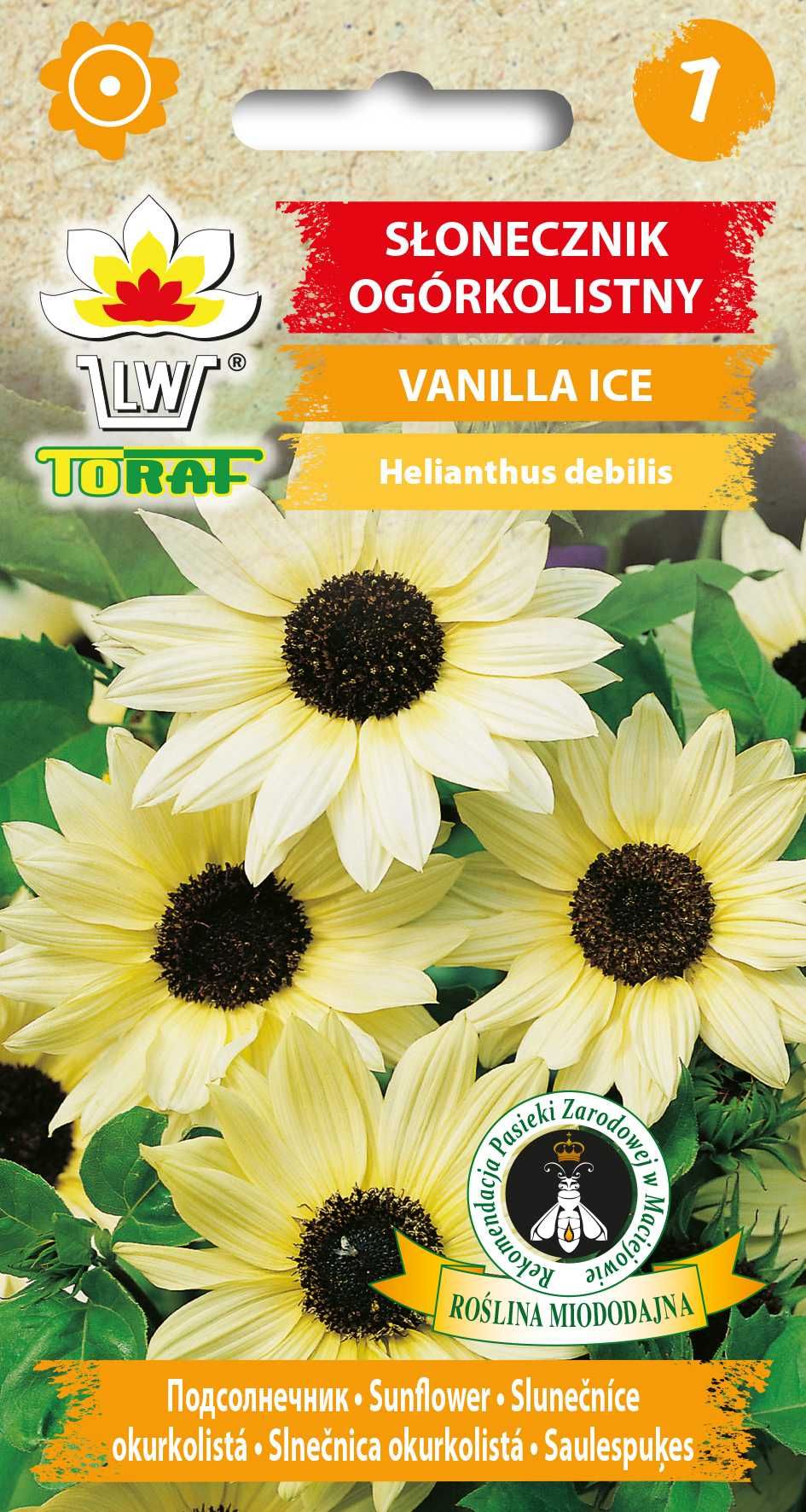Słonecznik ogórkolistny Vanilla Ice nasiona 0,5g TORAF