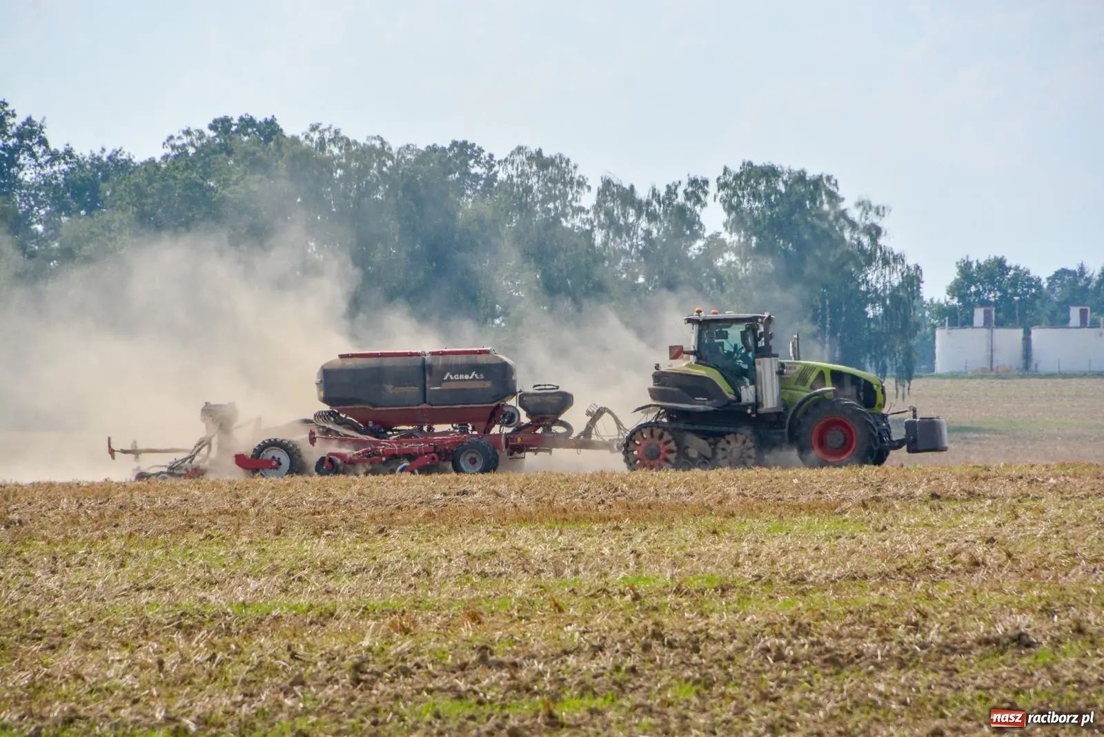 Usługowy siew w technologii strip till ,