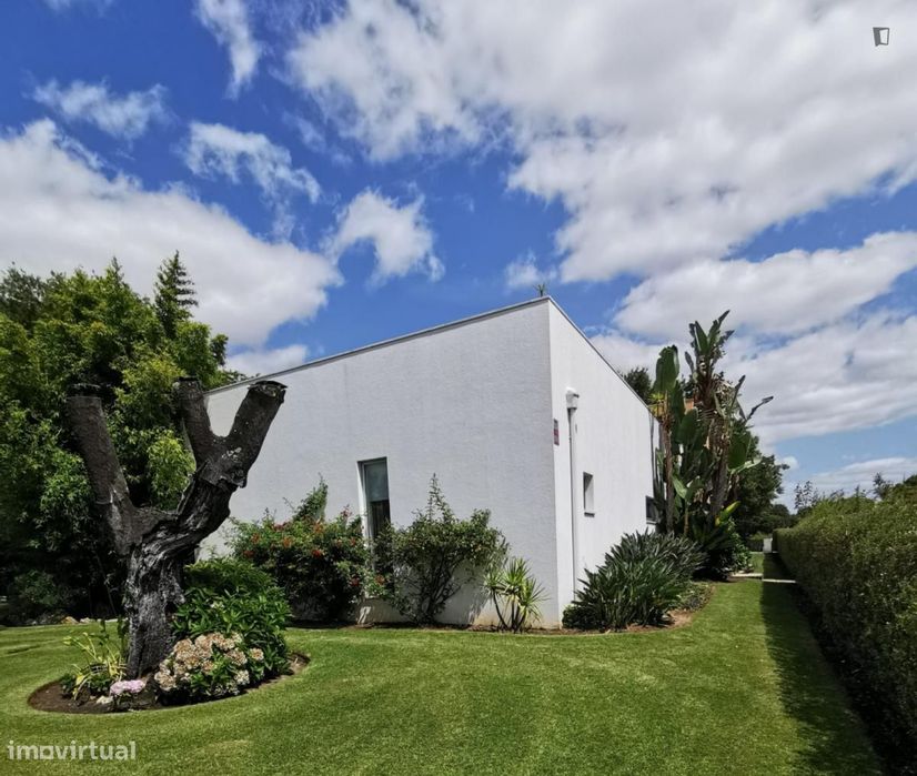 Casa com 1 quartos - localizado em Setubal