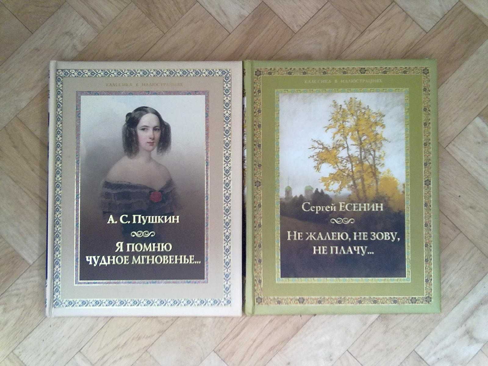 Книги-поэзия ( А.Кольцов, Н.Гумилев, А.Фет и т.д)