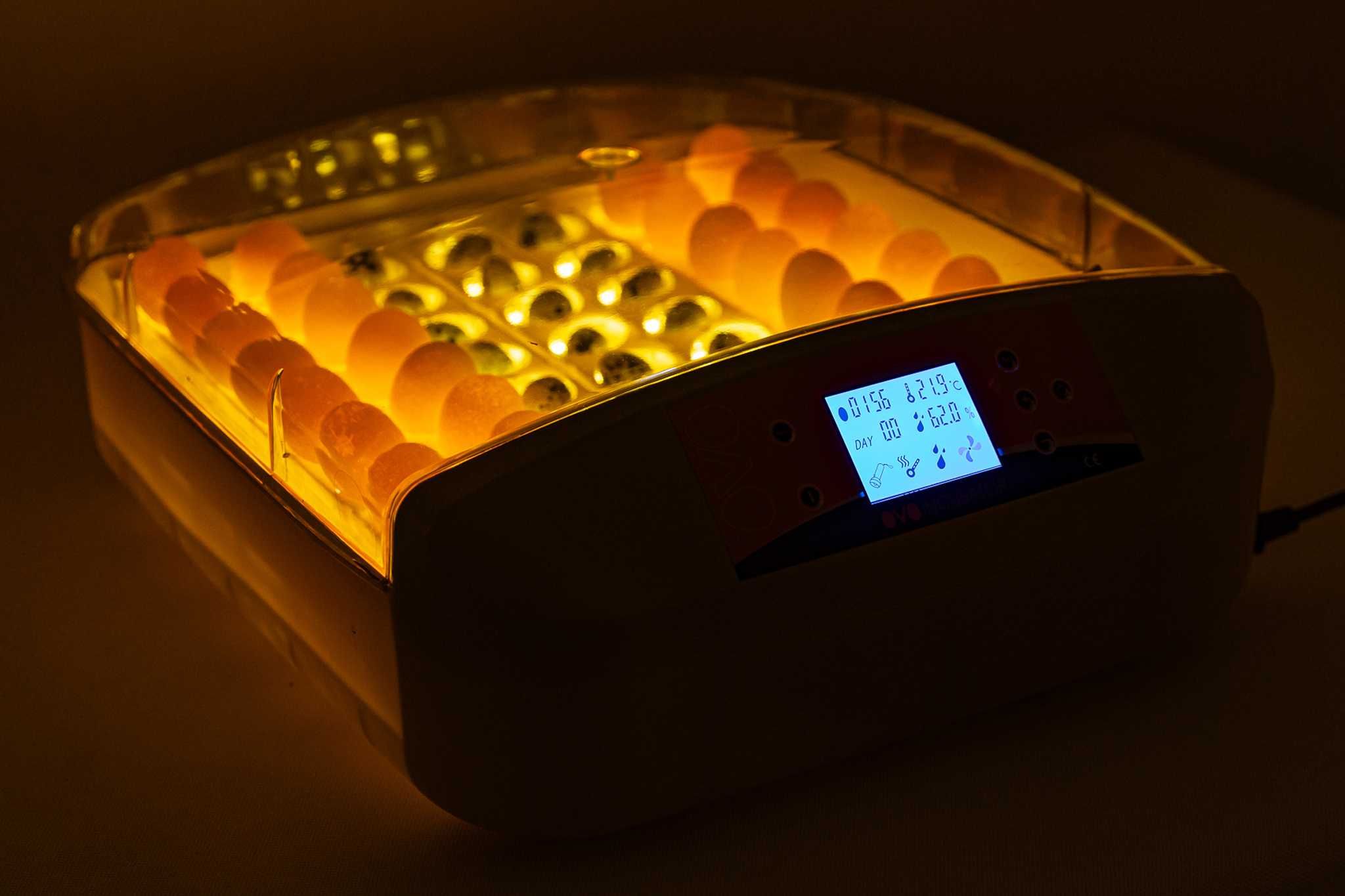 Inkubator AUTOMATYCZNY OVO do 56 JAJ wylęgarka klujnik +prześwietlarka