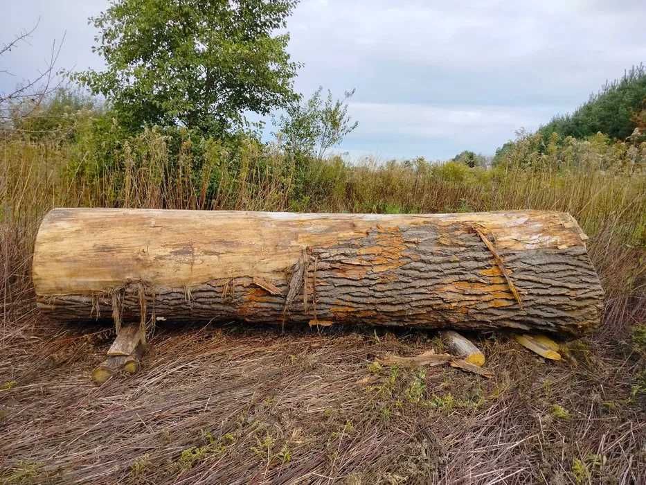 Drewno opałowe i budowlane na deski