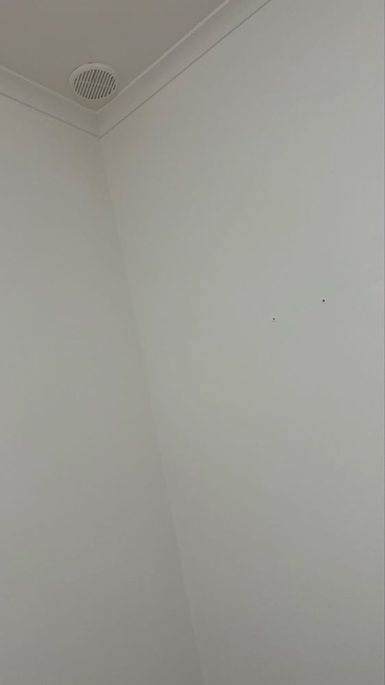 Serviço de Pintura no Geral (Ler Descrição)