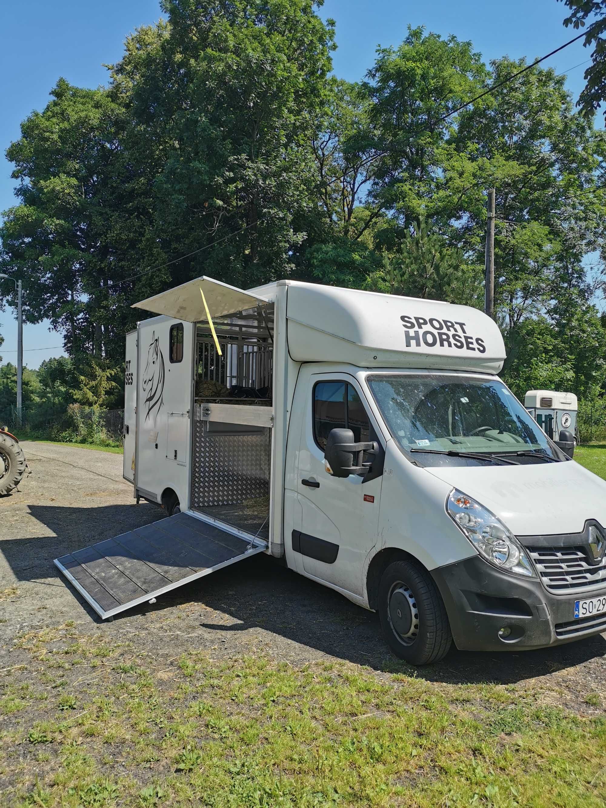 Transport koni - cała Polska