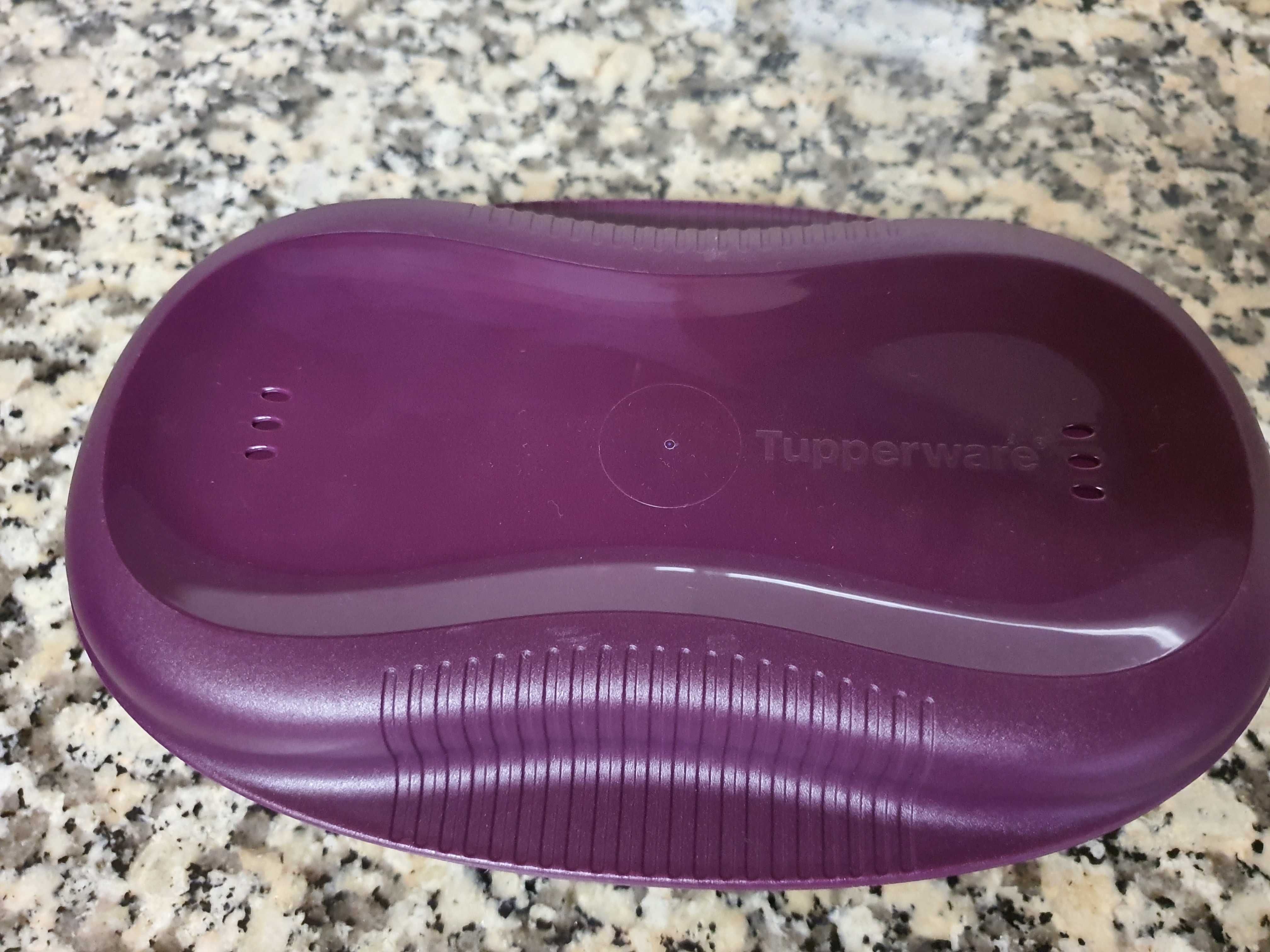 Micro Delícia Oval da Tupperware