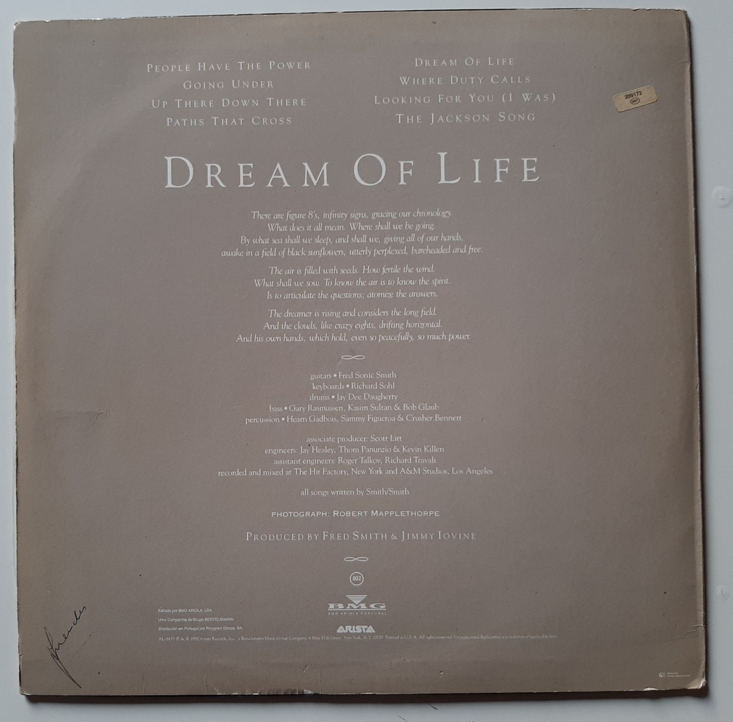 LP de Patti Smith LP Dream of Life raro disco vinil 1988