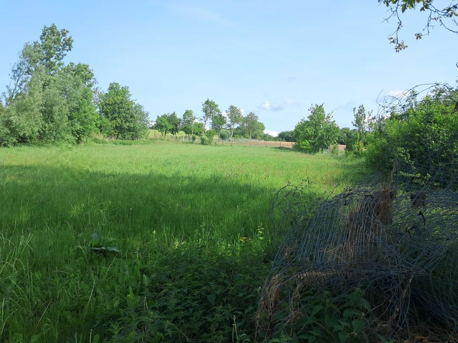 Działka wraz z budynkiem gospodarczym