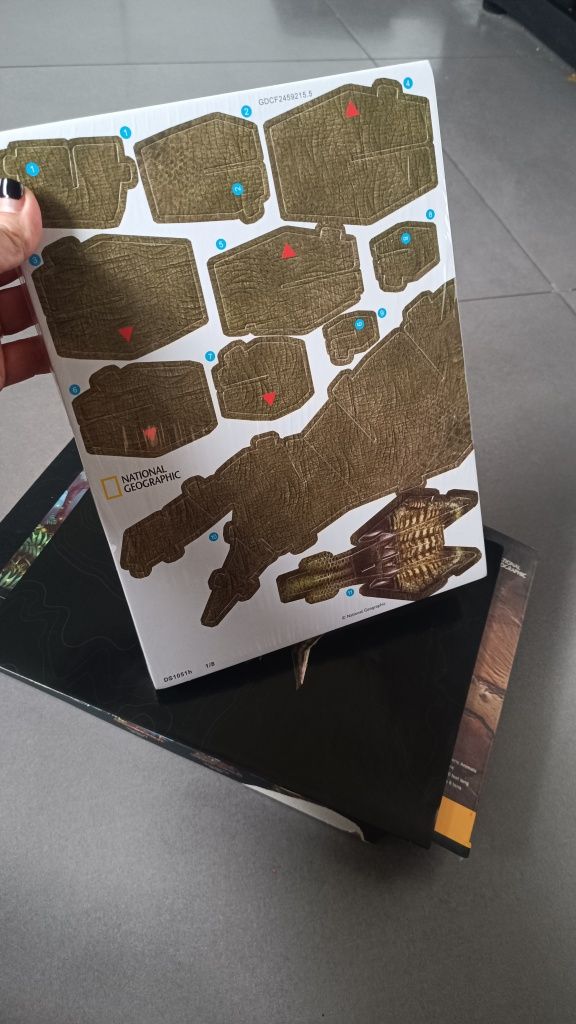 Puzzle 3D tyrannosaurus rex