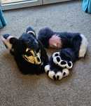 Fursuit skull dog