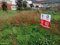Terreno rustico 1150 m² em Parceiros, Leiria