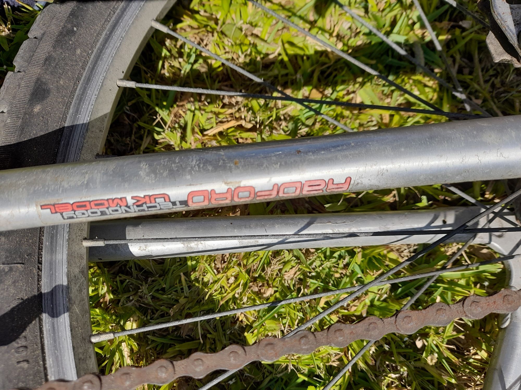 Bicicleta Radford Exon Alu