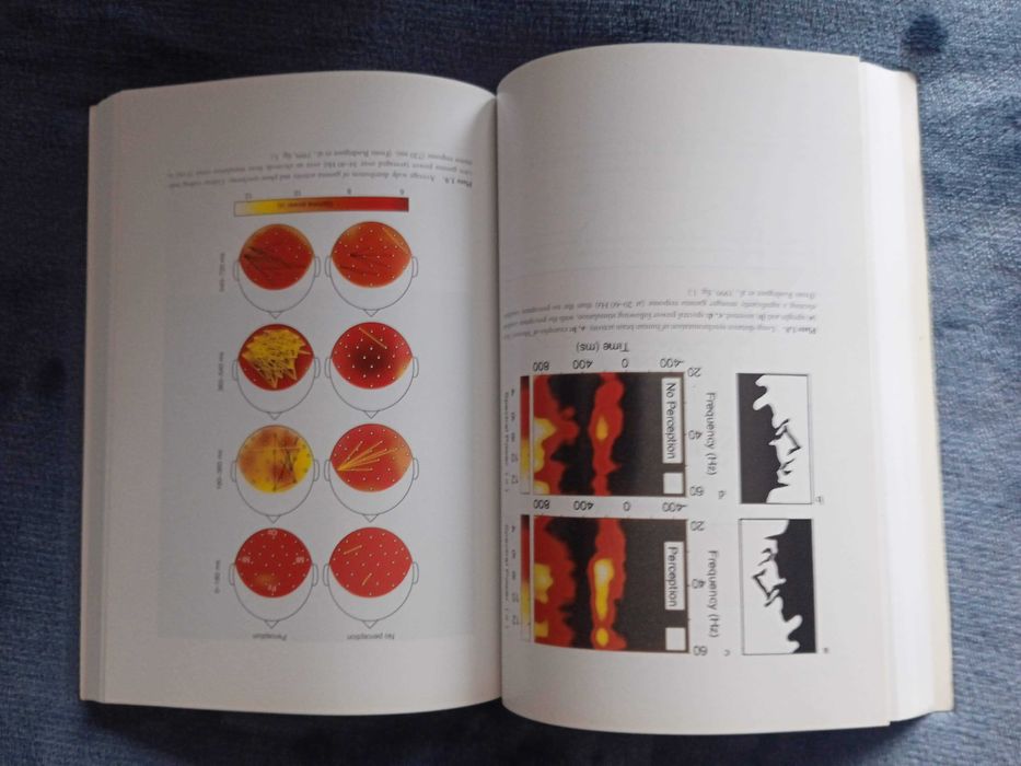 History of Cognitive Neuroscience - M.R. Bennet & P.M.S. Hacker (NOVO)