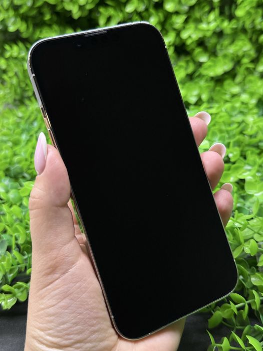 iPhone 13 Pro, 1Tb, Silver (Neverlock) Айфон 13 Про, 1Тб, белый, #4079