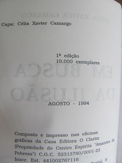 Em Busca da Ilusão de Célia Xavier Camargo