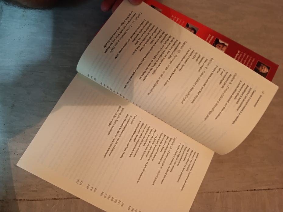 Encantamento: A arte de criar emoções, ideias e atitudes vencedoras