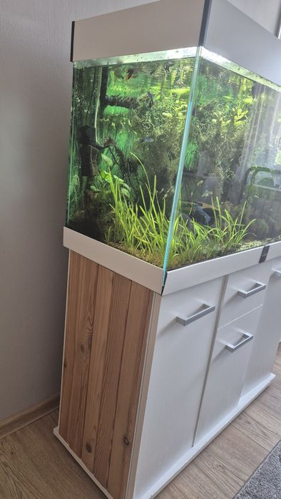 Akwarium 200l z wyposażeniem i szafką