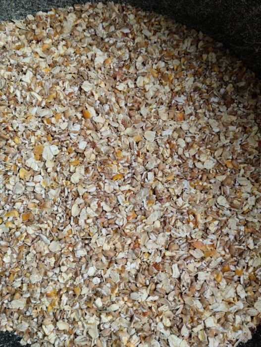 Pasza Naturalna dla Kur/ Kokoszek