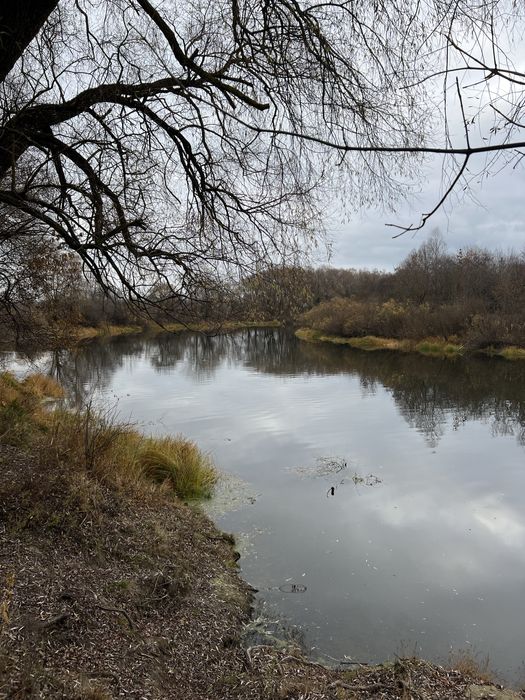 Перша лінія на березі р Снов Продам ділянку пос. Ямал 0,24 Га