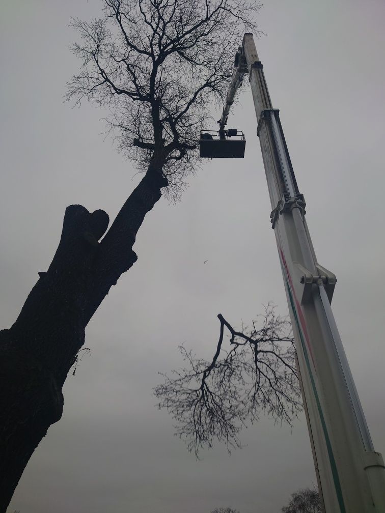 Zwyżka 25m + operator, podnośnik koszowy, wynajem