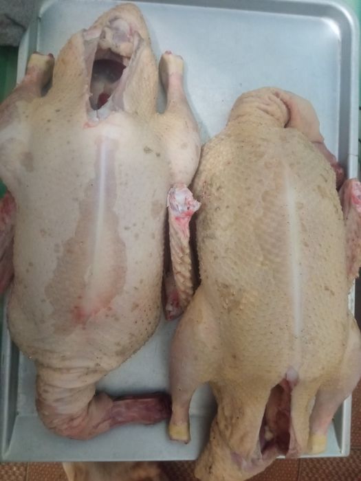 Продам тушки мускусных уток