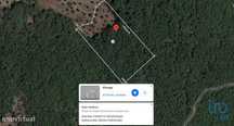 Terreno em Alvorge de 4550,00 m2