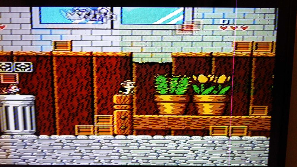 Cartridge Kartridż Gra Race Pegasus- Chip & Dale 4 (Chip & Dale 1)