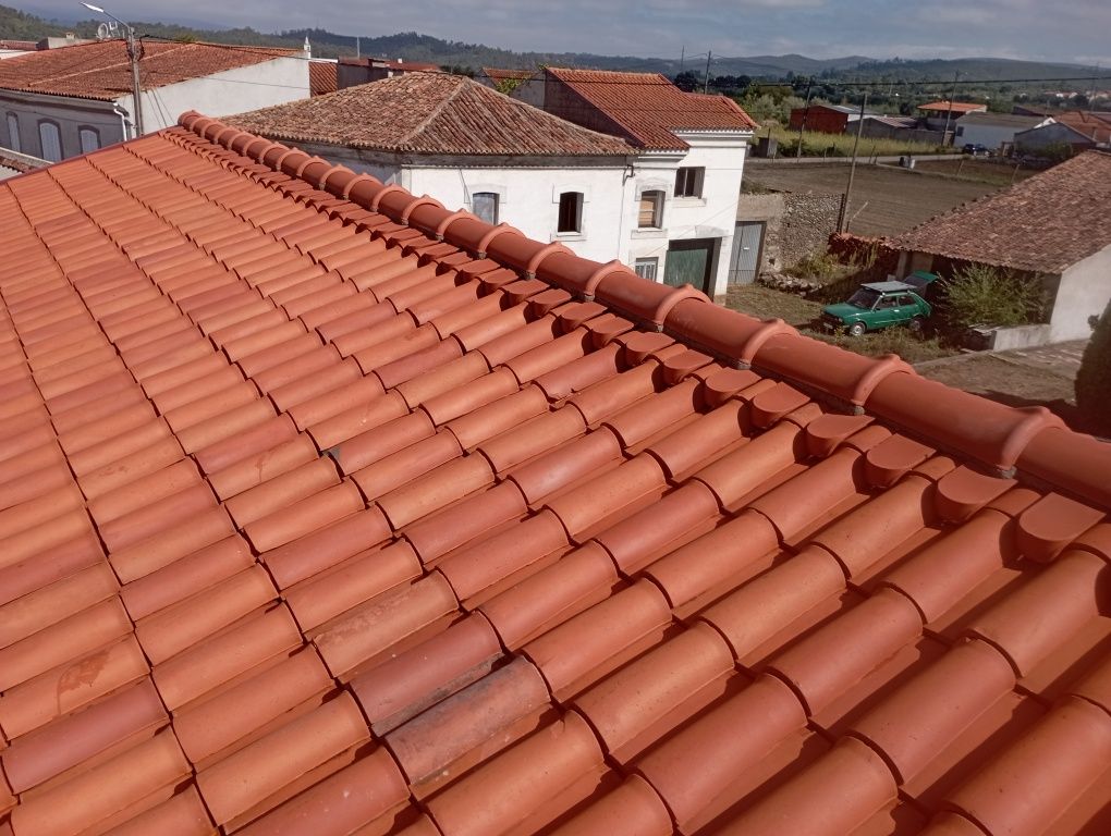 Construçao e limpeza de terrenos e telhados