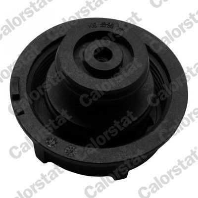 Depósito Refrigerante para Volvo V50 - C30 e S40