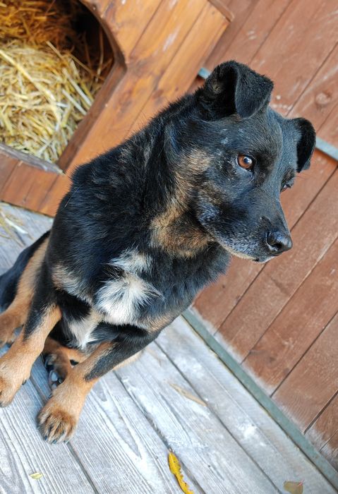 Czyja zguba? Sandomierz