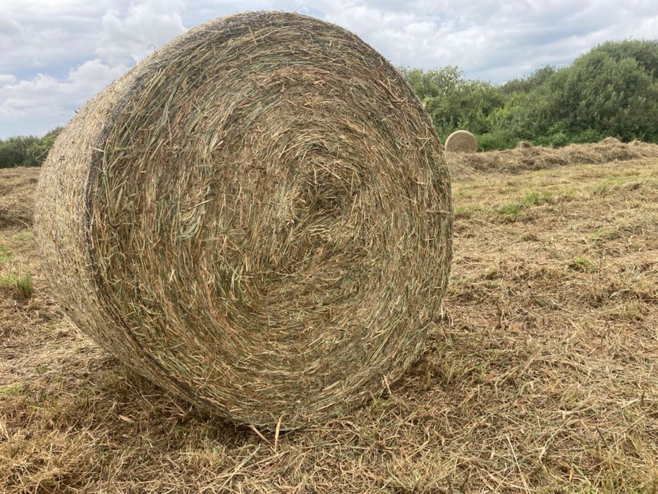 Siano ściółkowe. Transport