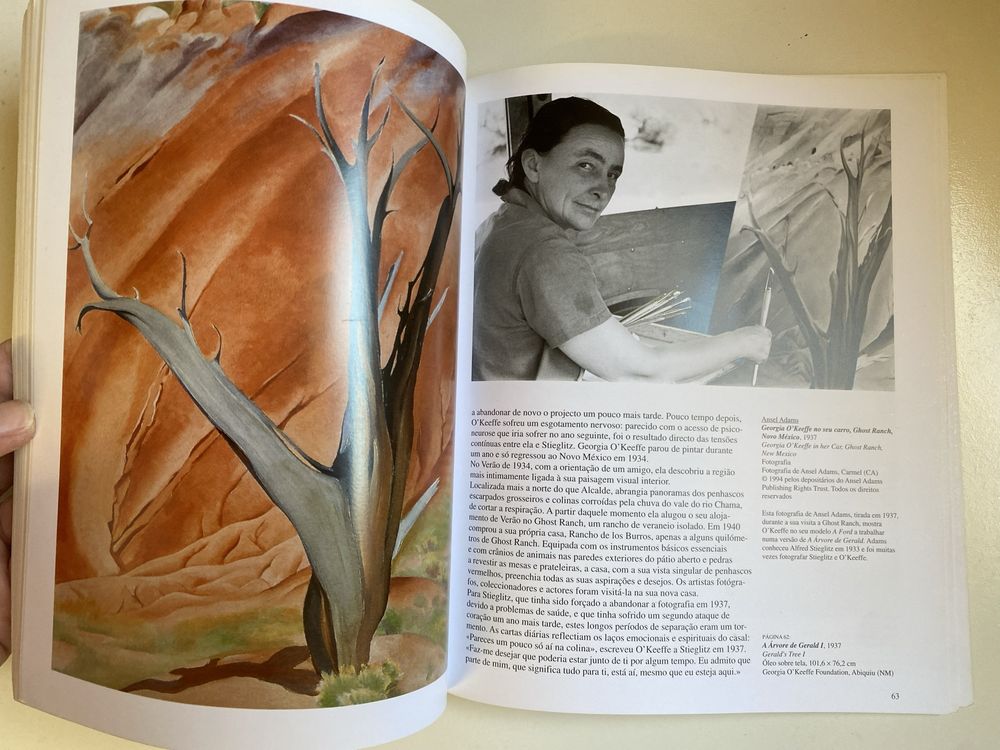 Livro sobre a pintora O’Keeffe da Tashen