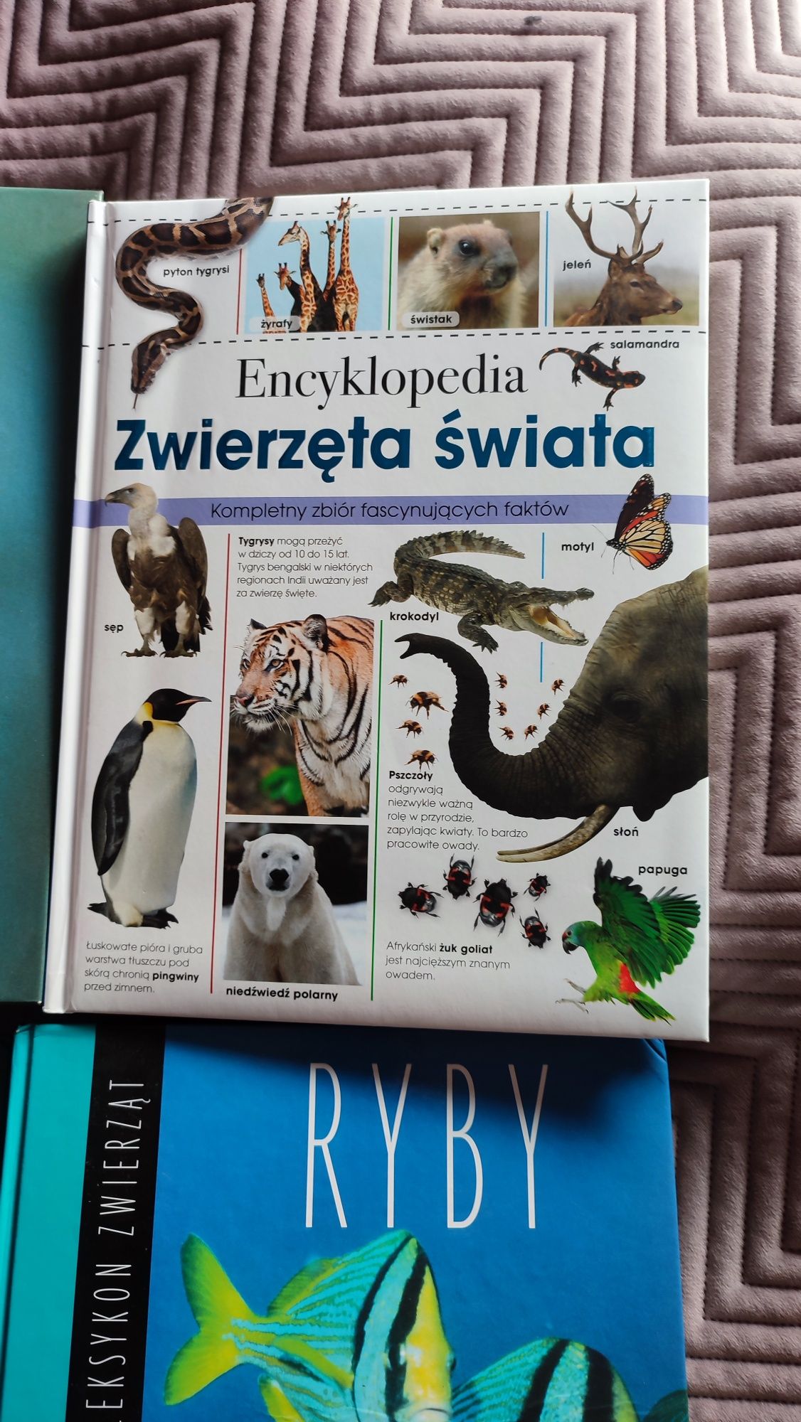 Leksykon  zwierząt 7 sztuk