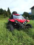 Buggy Nbluck 600