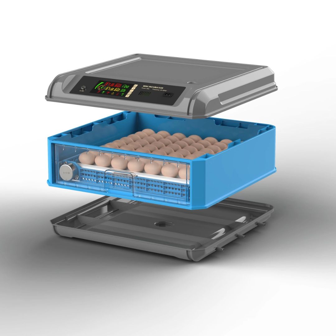 Chocadeira de ovos automática