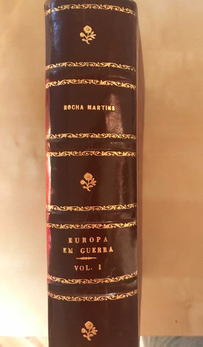 Livro antigo encadernado - A Europa em Guerra - 2 volumes