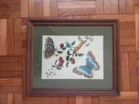 Quadro Decoração  Novo